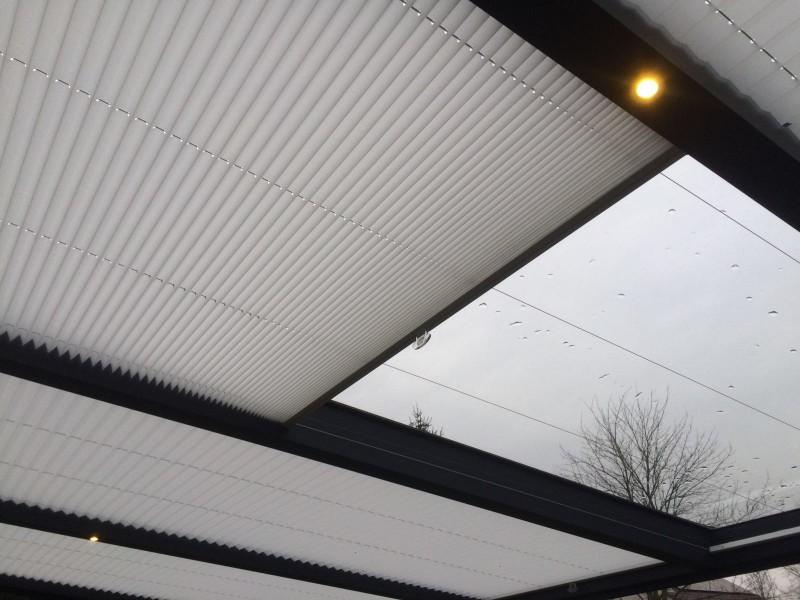 Pleated blinds
